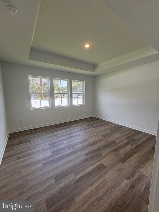 36821 W Old Gate Dr, Georgetown, DE 19947 - unfurnished room with a tray ceiling, healthy amount of natural light, dark wood-type flooring, and recessed lighting