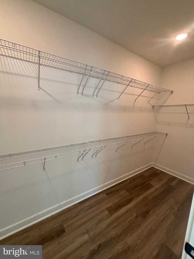 36821 W Old Gate Dr, Georgetown, DE 19947 - spacious closet with dark wood finished floors