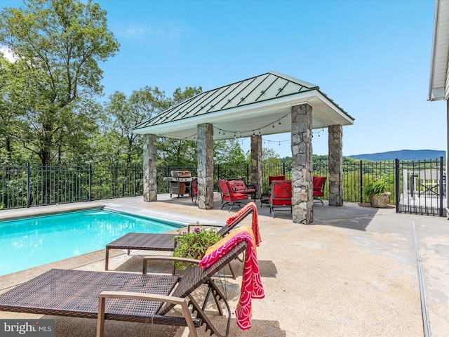 400 Deer Run Cir, Front Royal, VA 22630 - view of swimming pool featuring grilling area and a patio