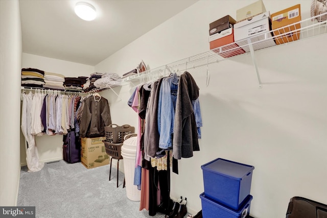 1765 Ivy Pump Ln, York, PA 17408 - spacious closet with carpet floors