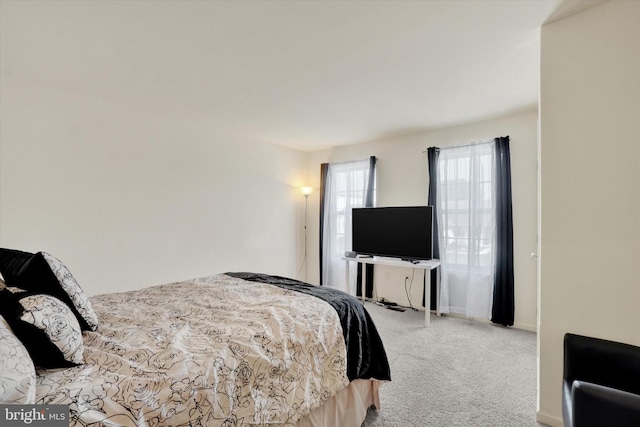 1765 Ivy Pump Ln, York, PA 17408 - bedroom featuring carpet floors and baseboards