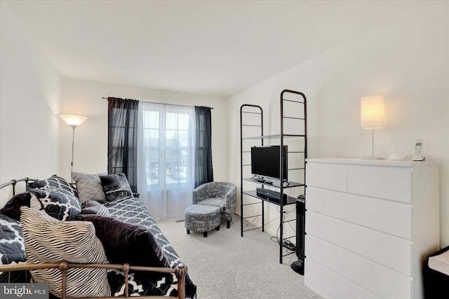 1765 Ivy Pump Ln, York, PA 17408 - view of carpeted living area