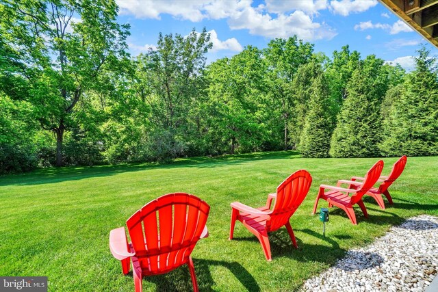 1765 Ivy Pump Ln, York, PA 17408 - view of grassy yard