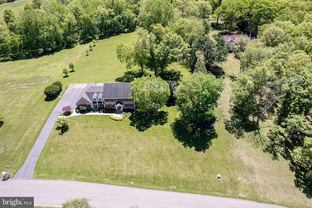 872 The Old Station Ct, Woodbine, MD 21797 - view from above of property