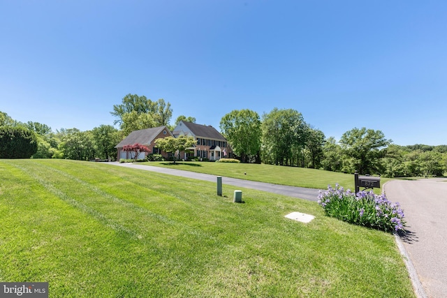 872 The Old Station Ct, Woodbine, MD 21797 - view of green lawn