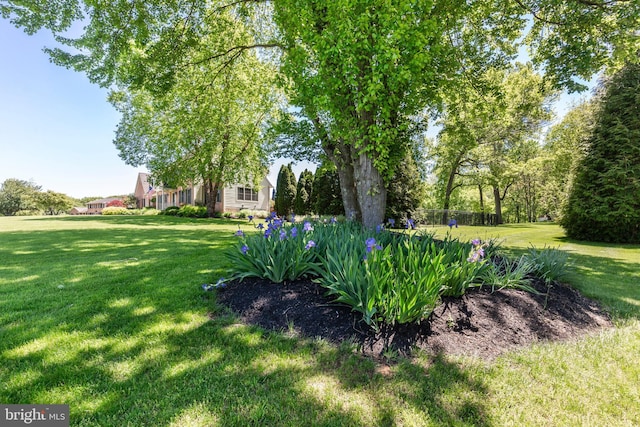 872 The Old Station Ct, Woodbine, MD 21797 - view of green lawn