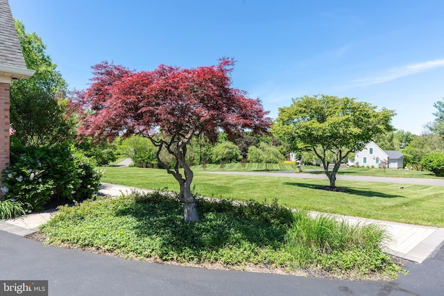 872 The Old Station Ct, Woodbine, MD 21797 - view of green lawn
