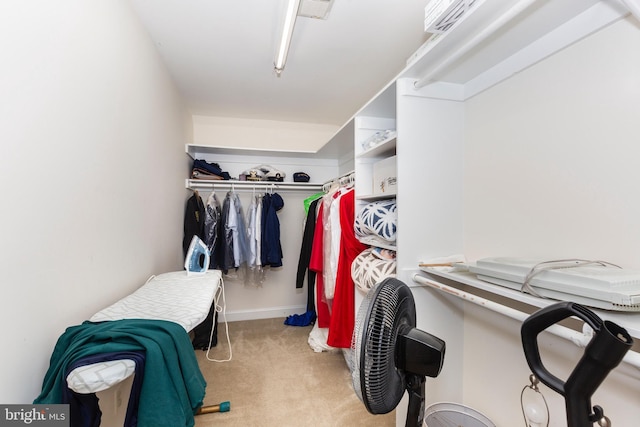 872 The Old Station Ct, Woodbine, MD 21797 - spacious closet featuring carpet floors