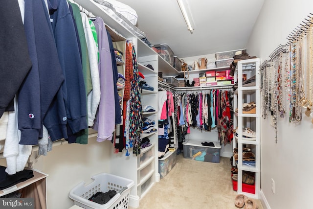 872 The Old Station Ct, Woodbine, MD 21797 - walk in closet featuring carpet