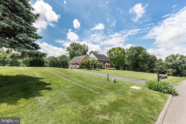 872 The Old Station Ct, Woodbine, MD 21797 - view of green lawn