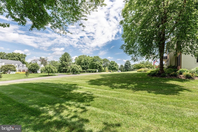 872 The Old Station Ct, Woodbine, MD 21797 - view of green lawn