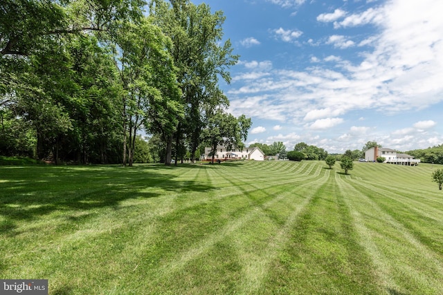 872 The Old Station Ct, Woodbine, MD 21797 - view of green lawn