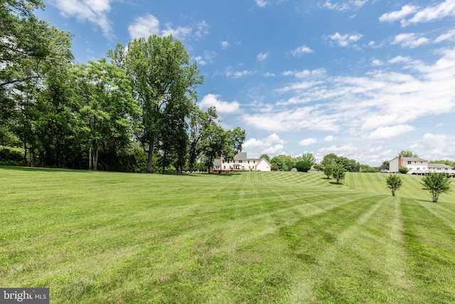 872 The Old Station Ct, Woodbine, MD 21797 - view of grassy yard