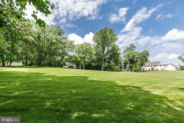 872 The Old Station Ct, Woodbine, MD 21797 - view of green lawn
