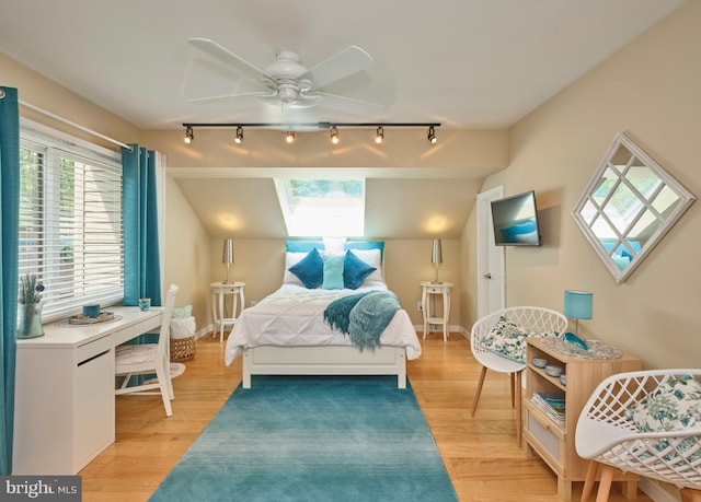 7028 Ely Rd, New Hope, PA 18938 - bedroom featuring track lighting, multiple windows, and light wood-style floors