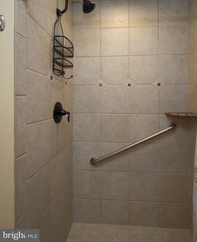 7028 Ely Rd, New Hope, PA 18938 - full bathroom with tiled shower