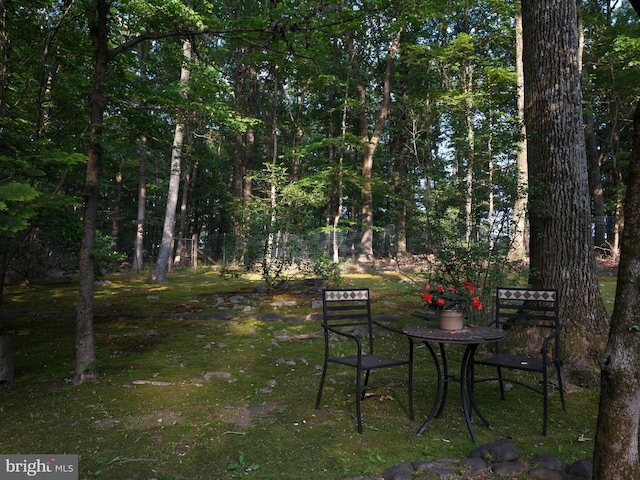7028 Ely Rd, New Hope, PA 18938 - view of yard