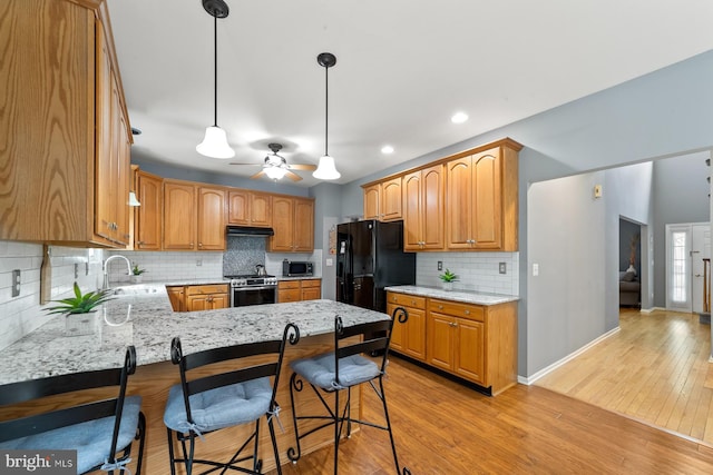 114 Ketterer Ct, Lawrence, NJ 08648 - kitchen with appliances with stainless steel finishes, under cabinet range hood, backsplash, a peninsula, and light wood finished floors