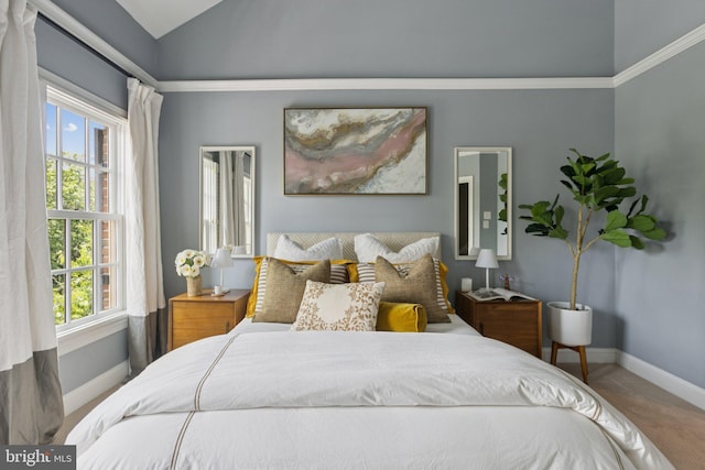 1206 N Pitt St, Alexandria, VA 22314 - carpeted bedroom featuring baseboards and vaulted ceiling
