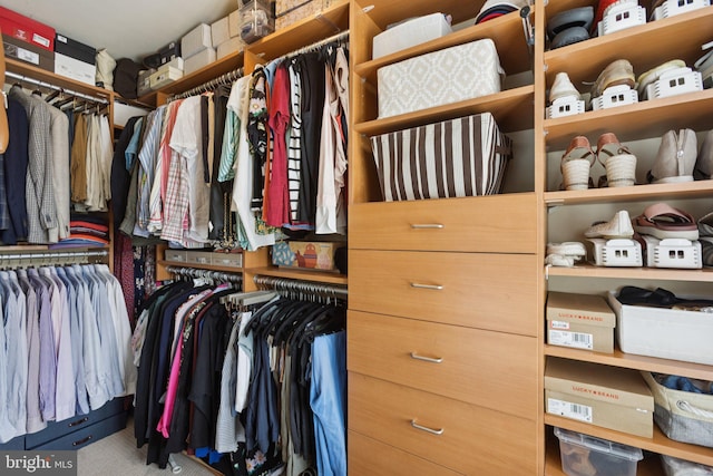 1206 N Pitt St, Alexandria, VA 22314 - view of walk in closet