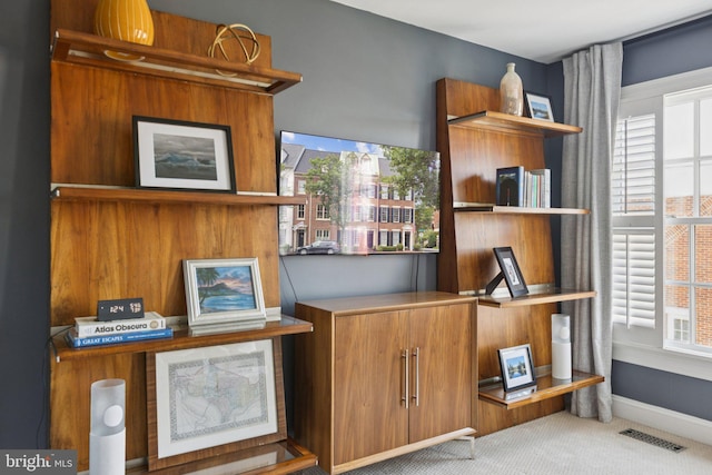 1206 N Pitt St, Alexandria, VA 22314 - detailed view of carpet floors and baseboards
