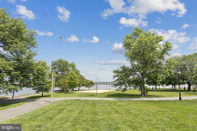1206 N Pitt St, Alexandria, VA 22314 - surrounding community featuring a lawn