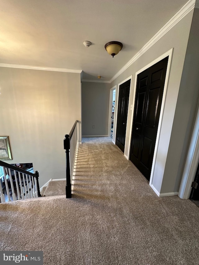 82 Blue Fox Ln, Richboro, PA 18954 - foyer entrance with carpet and ornamental molding