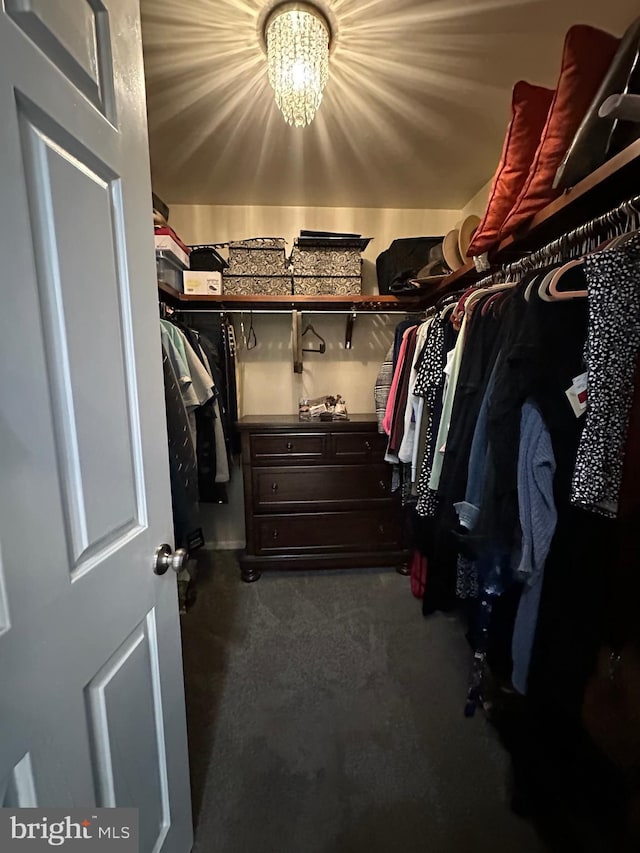 82 Blue Fox Ln, Richboro, PA 18954 - walk in closet featuring carpet floors and a chandelier