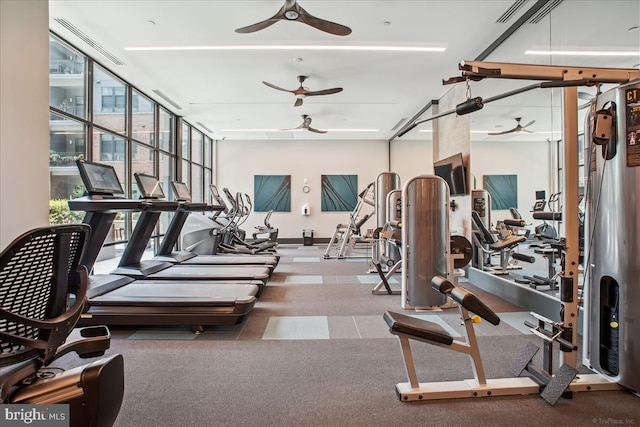 1761 Old Meadow Rd Unit 412, Mclean, VA 22102 - exercise room featuring a ceiling fan and a wall of windows