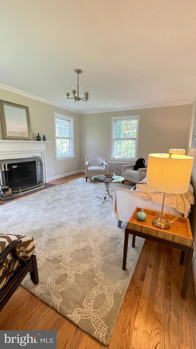 4420 Brandywine St NW, Washington, DC 20016 - living room with crown molding, wood finished floors, a fireplace, a chandelier, and radiator heating unit