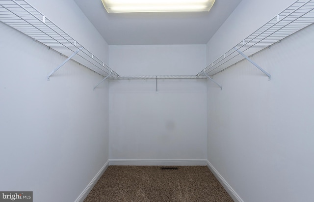 2125 Chatham Way, Harrisburg, PA 17110 - spacious closet with carpet floors