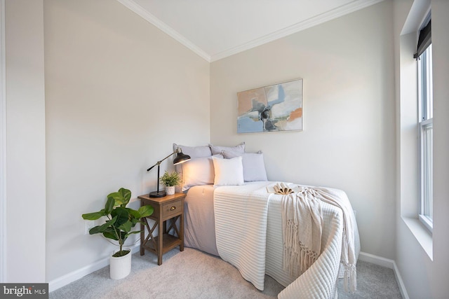 19 N Smallwood St, Baltimore, MD 21223 - bedroom with carpet floors, crown molding, and multiple windows