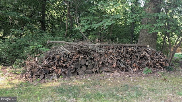 1903 Kirby Rd, Mclean, VA 22101 - view of tree filled area