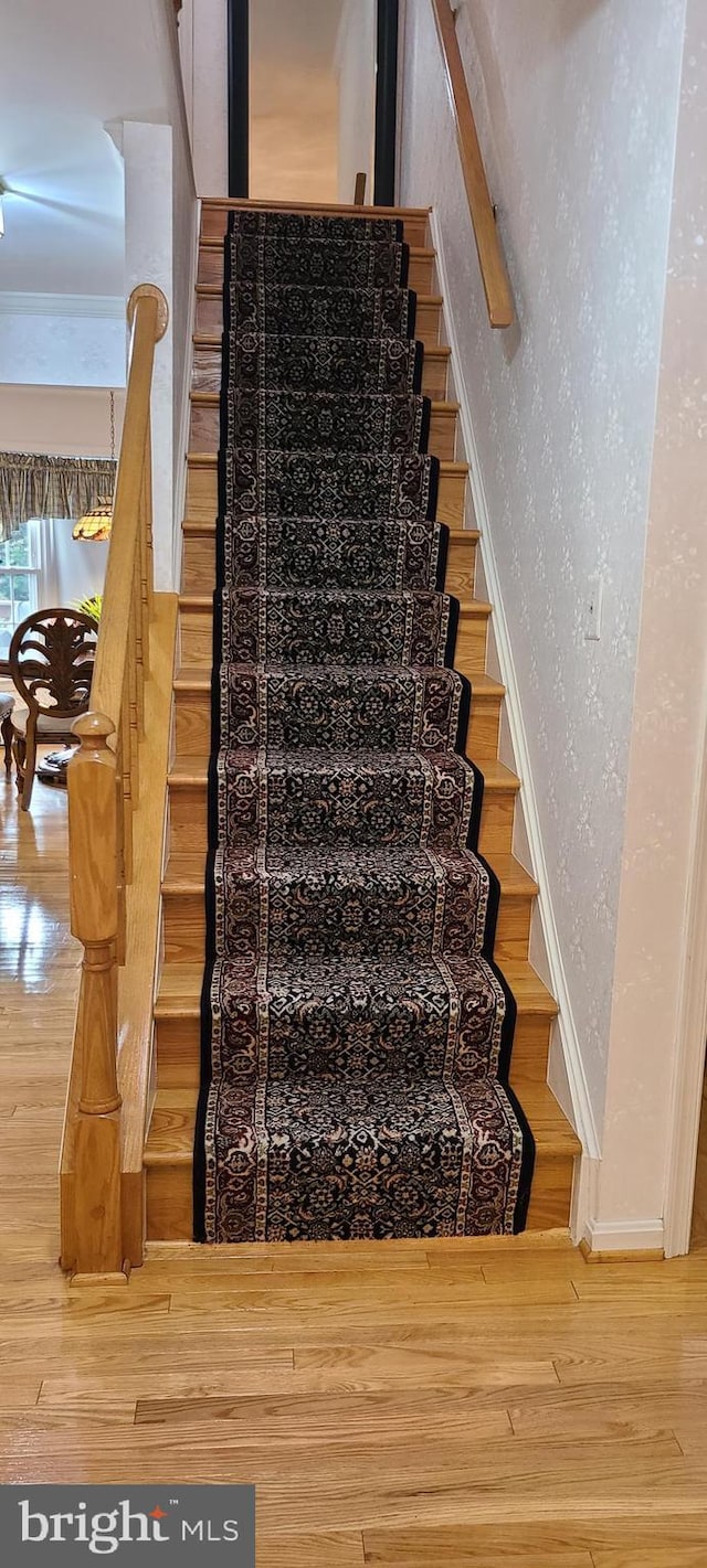 13209 Marthas Choice Cir, Bowie, MD 20720 - staircase featuring wood finished floors and a textured wall