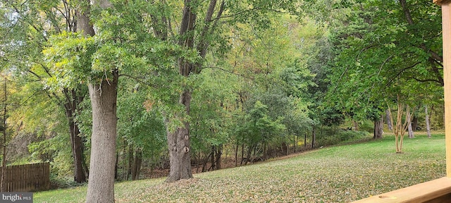 13209 Marthas Choice Cir, Bowie, MD 20720 - view of yard featuring a view of trees