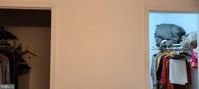 13209 Marthas Choice Cir, Bowie, MD 20720 - view of walk in closet