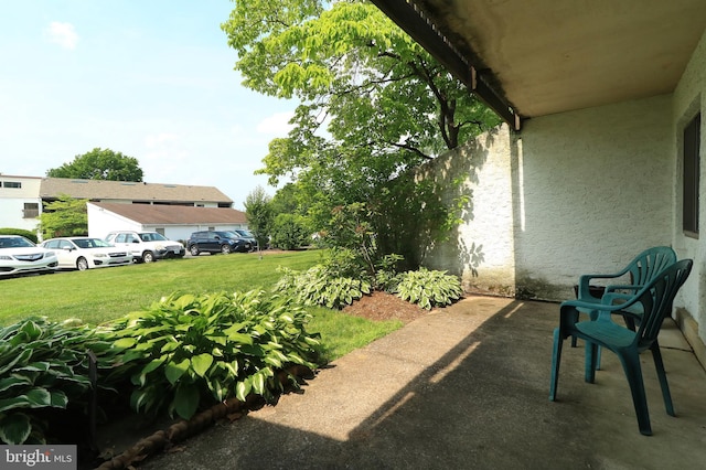 804 Stratford Dr Unit 11, State College, PA 16801 - view of grassy yard