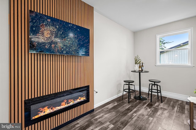 9017 Marcella Ave, Randallstown, MD 21133 - miscellaneous room with a glass covered fireplace and wood finished floors