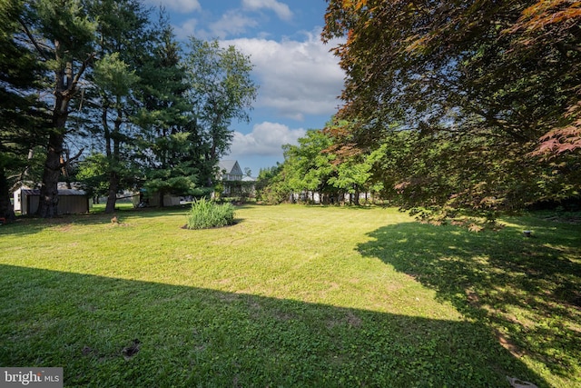 9017 Marcella Ave, Randallstown, MD 21133 - view of green lawn