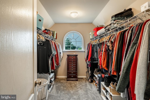 15 Boraten Cir, Royersford, PA 19468 - walk in closet with carpet flooring and lofted ceiling