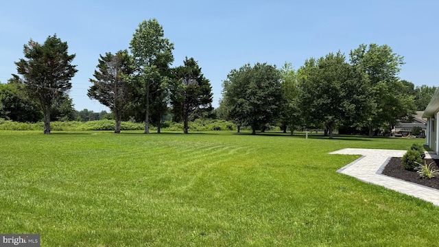 104 Lake Front Dr, Dover, DE 19904 - view of green lawn