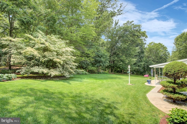 11733 Woodlea Dr, Waynesboro, PA 17268 - view of grassy yard