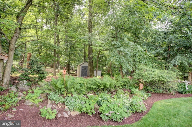 11733 Woodlea Dr, Waynesboro, PA 17268 - view of yard with a shed