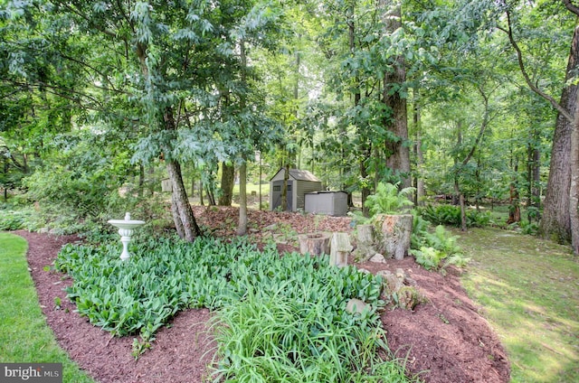 11733 Woodlea Dr, Waynesboro, PA 17268 - view of yard featuring a storage unit