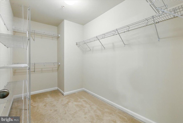 7003 Dannfield Ct, Glen Burnie, MD 21060 - walk in closet featuring carpet floors