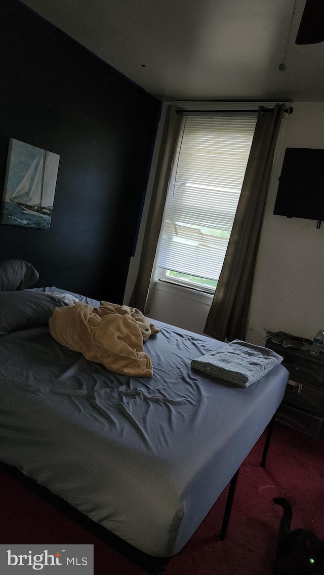 2618 E Biddle St, Baltimore, MD 21213 - bedroom featuring carpet floors