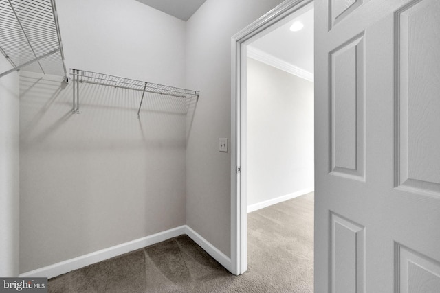 42510 Oak Park Sq, Ashburn, VA 20148 - walk in closet with carpet floors