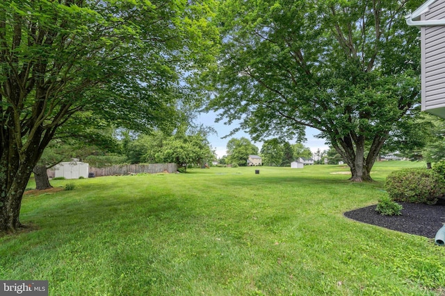125 Christine Dr, Downingtown, PA 19335 - view of grassy yard with a shed