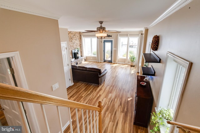 4534 Todd Pt, Sparrows Point, MD 21219 - living area featuring crown molding, light wood finished floors, a ceiling fan, and a fireplace