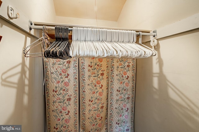 73 Duncan Ln, Springfield, PA 19064 - view of spacious closet